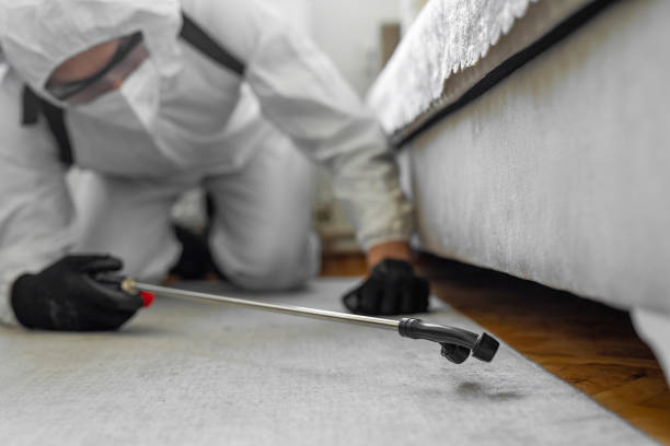 Professional Wasp Control technician working in Cuyahoga Falls, OH