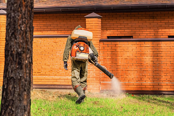 Trusted Ant Control service in Cuyahoga Falls, OH - Nex Pest Control
